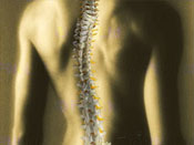 chiropractic_care_treatment